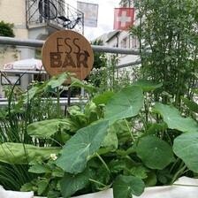 Symbolbild Arbon Gardening