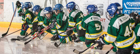 Bild Eishockey-Kurs, FerienSpass